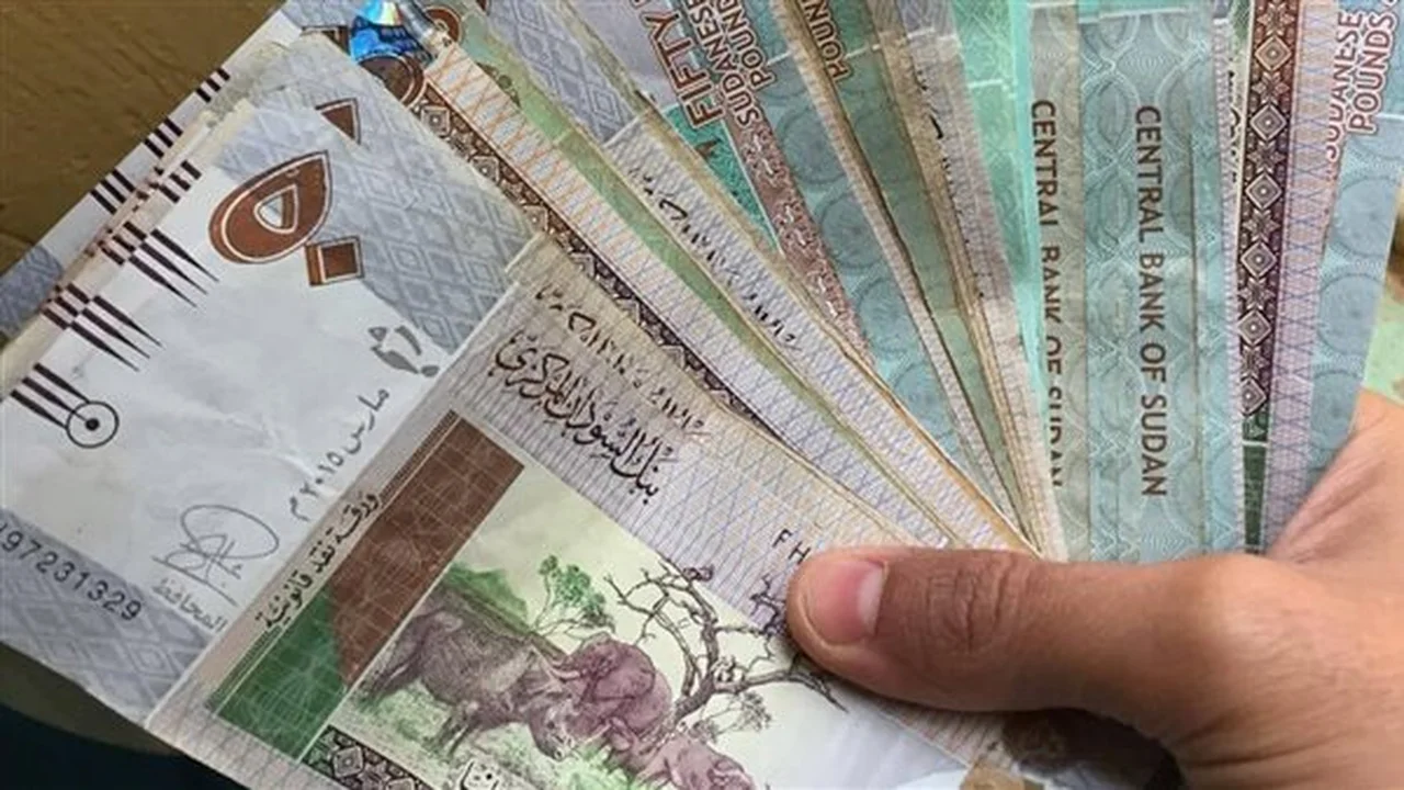 تطورات سعر الدولار مقابل الجنيه في بنك السودان المركزي مساء الأحد